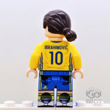 ZLATAN IBRAHIMOVIC, Swedish National Football Team 2016